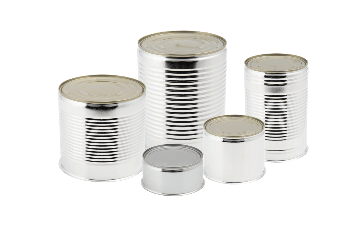 Fünf verschiedene unbeschriftete Metallkonservendosen in verschiedenen Größen.
